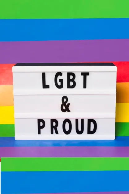 plaidoyer pour les droits humains et l'inclusion des minorités sexuelles BESYP